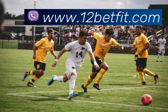 12bet全站App 12bet全站App
